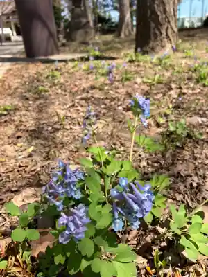 江南神社(北海道)
