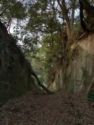 日吉神社の周辺