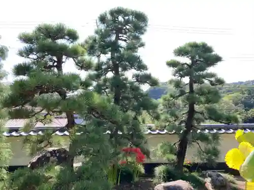 瀧泉寺のその他建物