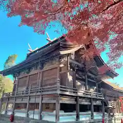 柏原八幡宮の自然