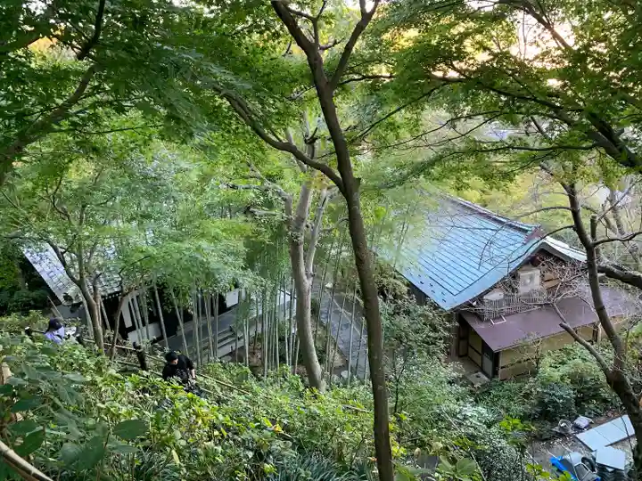 長谷寺(神奈川県)