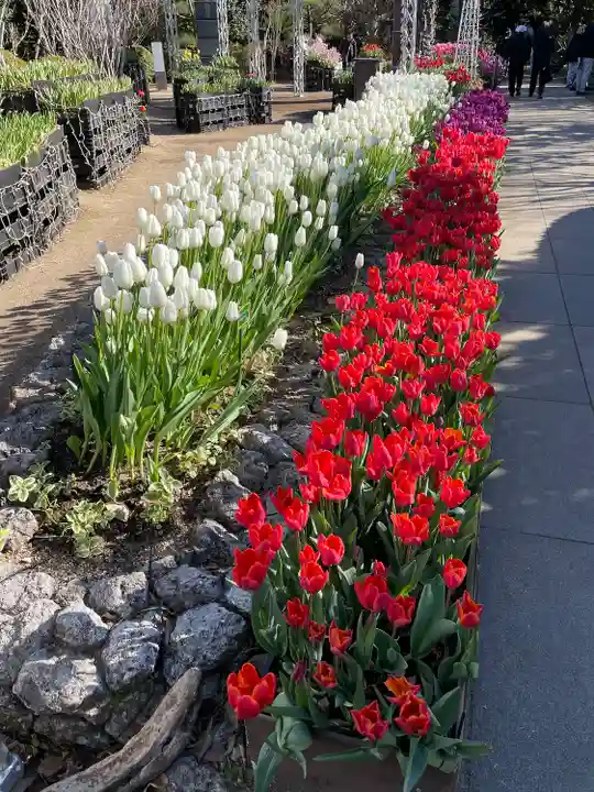 江島神社(神奈川県)