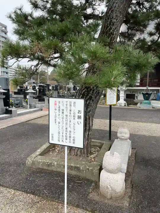 妙音院(宮城県)