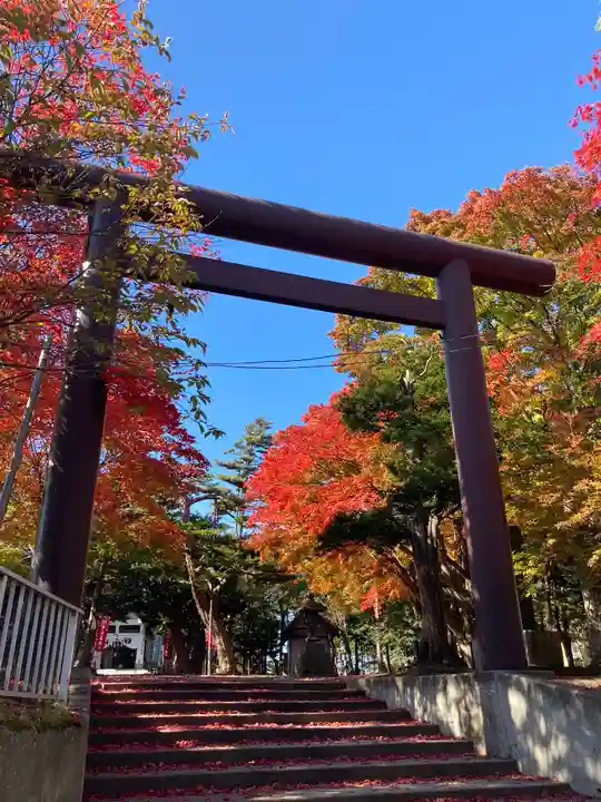北広島市総鎮守 廣島神社の鳥居
