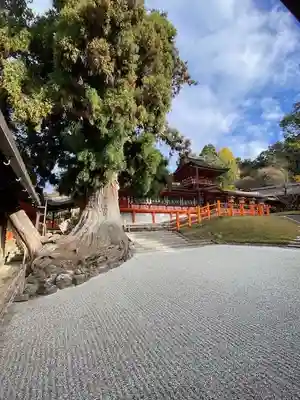春日大社(奈良県)