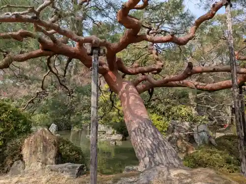 城南宮(京都府)