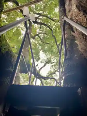 熊野那智大社(和歌山県)