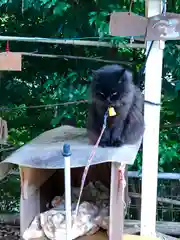 粉河産土神社（たのもしの宮）の動物