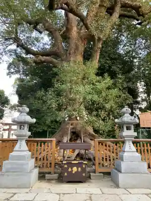 和泉國一之宮　大鳥大社(大阪府)