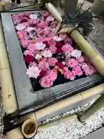 蛇窪神社(東京都)