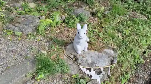 出雲大神宮の狛犬