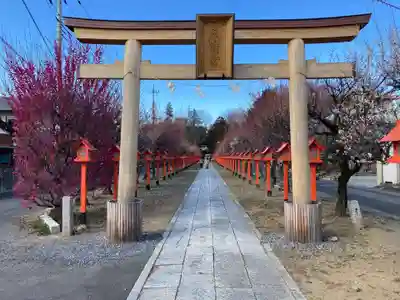 朝日森天満宮の鳥居