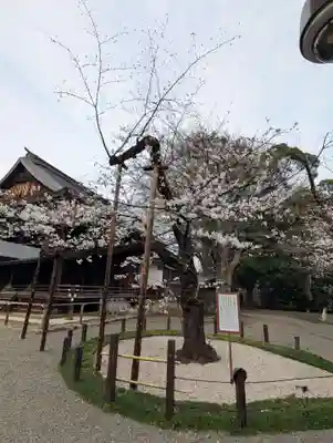 靖國神社(東京都)