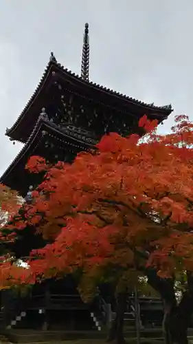 真正極楽寺（真如堂）の塔