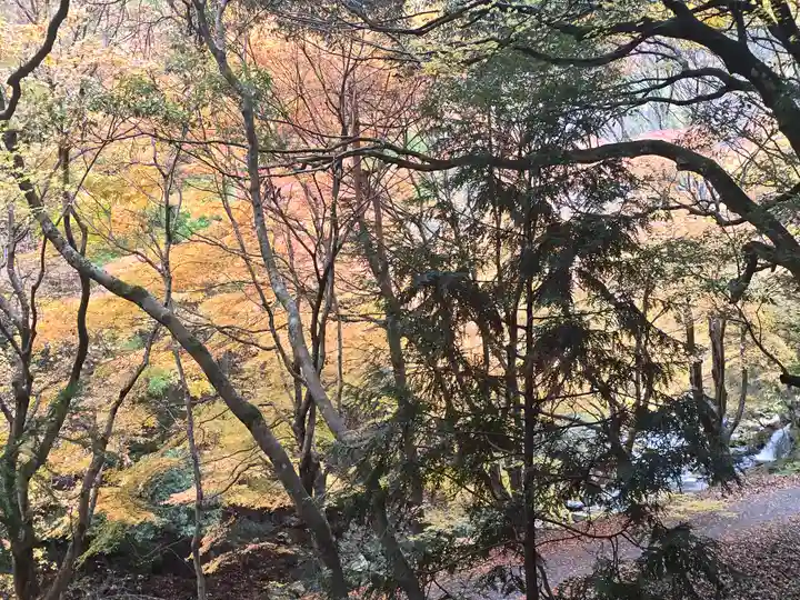 地主神社(滋賀県)