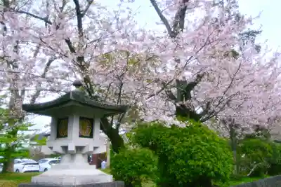 富士山本宮浅間大社(静岡県)