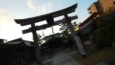 京都ゑびす神社の鳥居