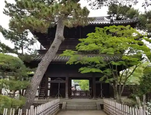 泉岳寺の山門