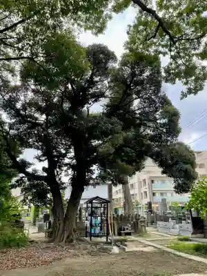 長福寺(神奈川県)