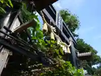 菊名神社の鳥居
