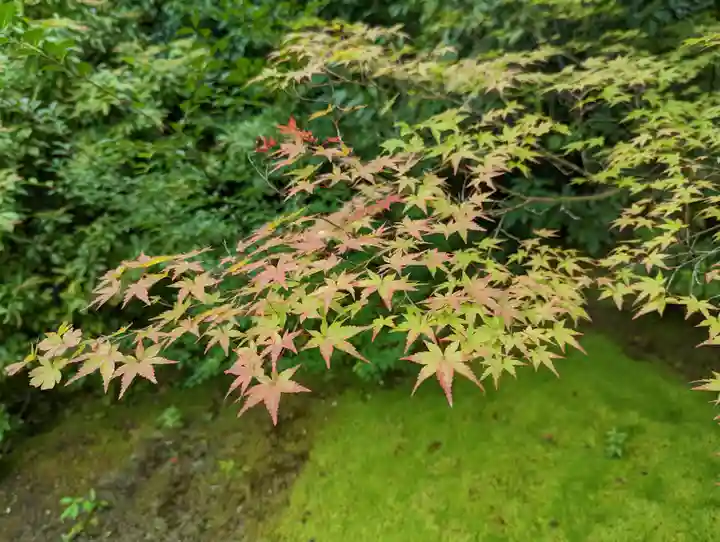 光悦寺(京都府)