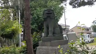 大木白山社の狛犬