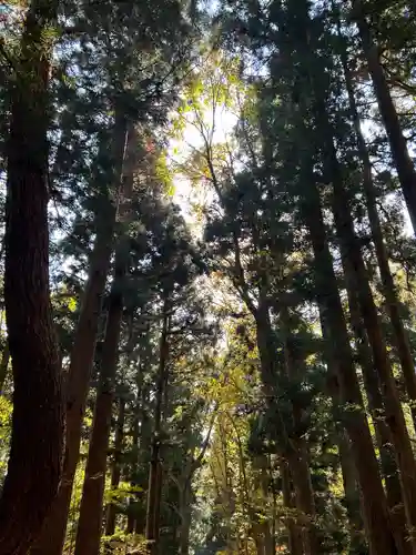 土津神社｜こどもと出世の神さま(福島県)