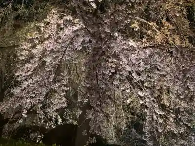 八坂神社(祇園さん)の{uncategorized: "未分類", other: "その他", undefined: "問題あり", building: "その他建物", grave: "お墓", sacred_gate: "鳥居", guardian: "狛犬", statue: "像", buddha: "仏像", history: "歴史", nature: "自然", garden: "庭園", animal: "動物", pagoda: "塔", temizu: "手水舎", mountain_gate: "山門・神門", sanctuary: "本殿・本堂", subordinate: "末社・摂社", art: "芸術", scenery: "景色", jizo: "地蔵", ema: "絵馬", goshuin: "御朱印", omikuji: "おみくじ", items: "授与品その他", amulet: "お守り", goshuincho: "御朱印帳", eats: "食事", festival: "お祭り", votive_dance: "神楽", shichigosan: "七五三参", wedding: "結婚式", experience: "体験その他", initially: "初詣", around: "周辺", anti_infection: "感染症対策"}