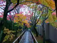 光悦寺(京都府)