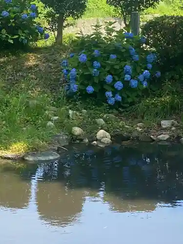 武蔵寺の庭園