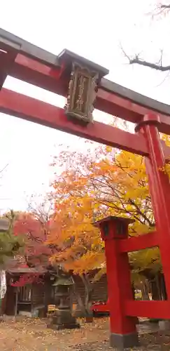 彌彦神社　(伊夜日子神社)の鳥居