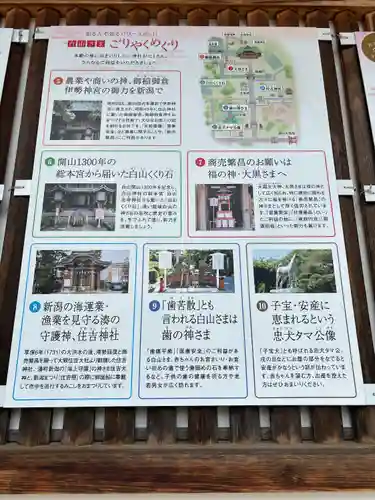 白山神社(新潟県)