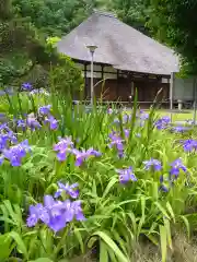 横浜　西方寺の自然