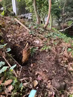 白山神社の自然