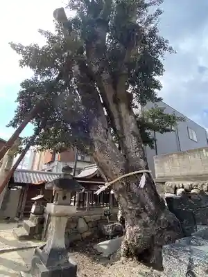 伊勢神社(岡山県)