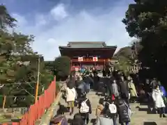 鶴岡八幡宮の初詣