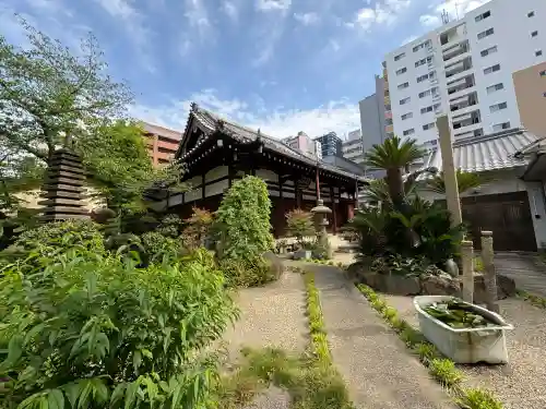 正念寺の{uncategorized: "未分類", other: "その他", undefined: "問題あり", building: "その他建物", grave: "お墓", sacred_gate: "鳥居", guardian: "狛犬", statue: "像", buddha: "仏像", history: "歴史", nature: "自然", garden: "庭園", animal: "動物", pagoda: "塔", temizu: "手水舎", mountain_gate: "山門・神門", sanctuary: "本殿・本堂", subordinate: "末社・摂社", art: "芸術", scenery: "景色", jizo: "地蔵", ema: "絵馬", goshuin: "御朱印", omikuji: "おみくじ", items: "授与品その他", amulet: "お守り", goshuincho: "御朱印帳", eats: "食事", festival: "お祭り", votive_dance: "神楽", shichigosan: "七五三参", wedding: "結婚式", experience: "体験その他", initially: "初詣", around: "周辺", anti_infection: "感染症対策"}