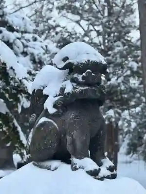 新琴似神社(北海道)