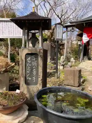 常泉寺(神奈川県)