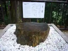  大岩山 最勝寺の自然