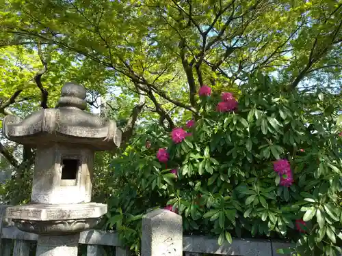 護国寺(東京都)