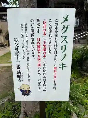 秩父札所十三番 慈眼寺のその他建物