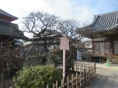 西新井大師総持寺(東京都)