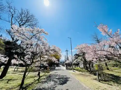 土津神社｜こどもと出世の神さまの景色