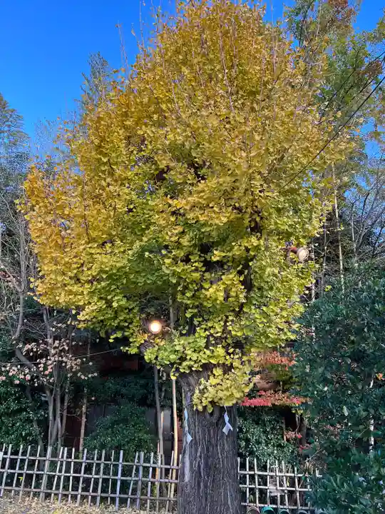 市谷亀岡八幡宮(東京都)