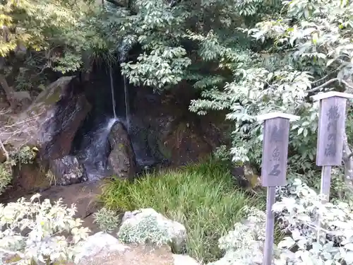 鹿苑寺（金閣寺）の庭園