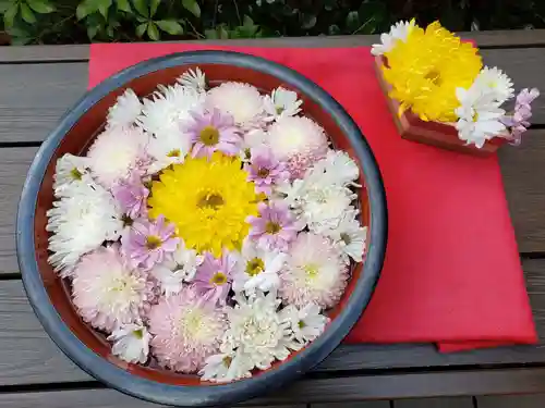 増上寺塔頭 三縁山 宝珠院の手水舎