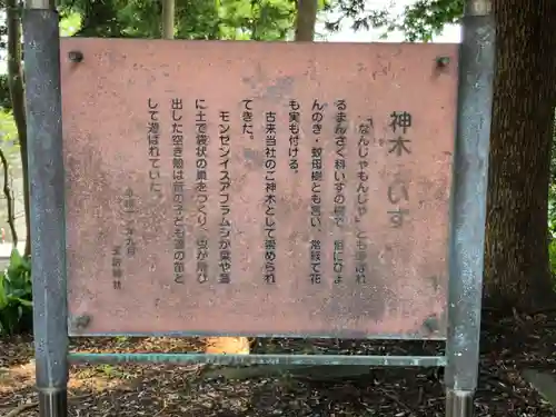 玉前神社の歴史