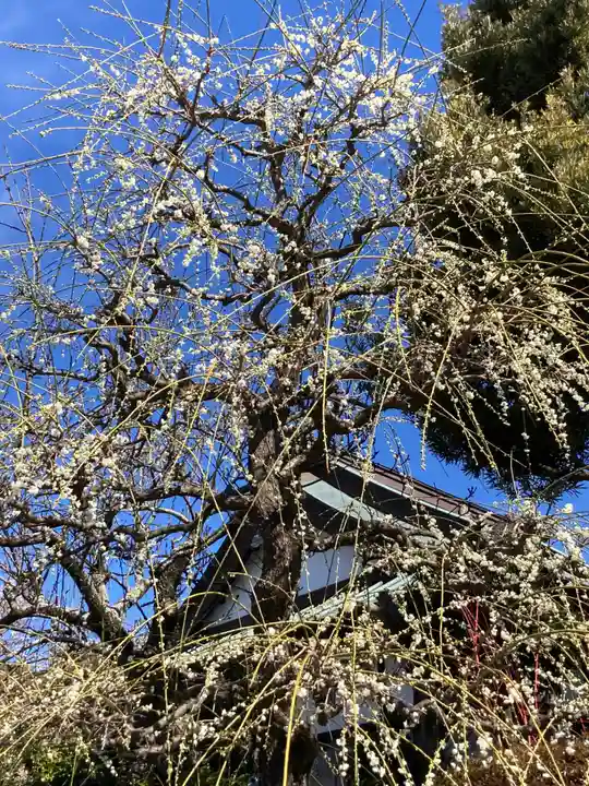 法蓮寺(神奈川県)