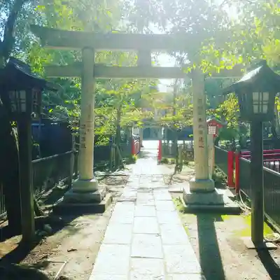 富岡八幡宮の鳥居